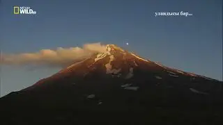 Ирандын жапайы жаратылышы 1 бөлүм