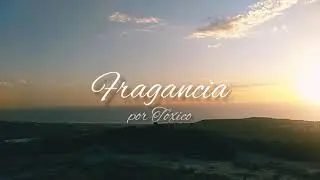 Toxico - Fragancia