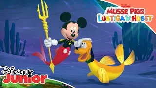 🐱 Husdjursdagen! | Musse Pigg Lustiga Huset | Disney Junior Sverige