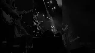 Свидание – Родинки (Live @ 1930 Moscow, 16.11.2023)