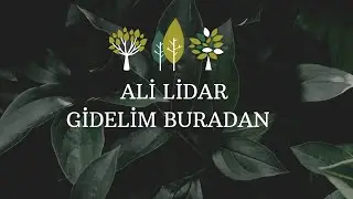 Ali lidar | Gidelim buradan