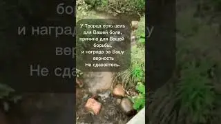 Жизнь-это то, что сейчас #цитаты #жизнь #психология #смысл