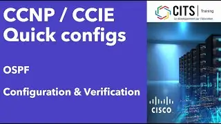 CCNP & CCIE - Advanced Routing - OSPF Configuration
