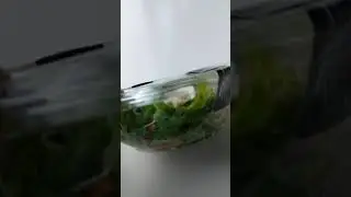 קופיקס הסלטים החדשים