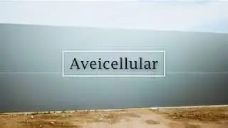 Aveicellular 2019