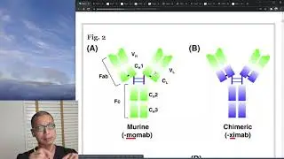 Monoclonal antibodies: A brief history