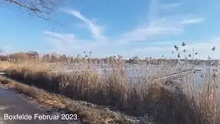 Boxfelde 2023 02 07 YT   HD 1080p