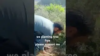 we planting tree free please support me 