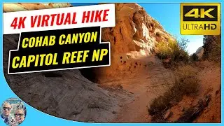 4K Virtual Hike - Cohab Canyon Trail - Capitol Reef National Park