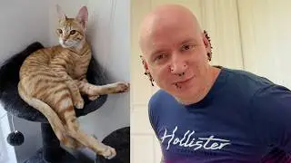I Go Insane Building A Cat Tree | Extra Roly