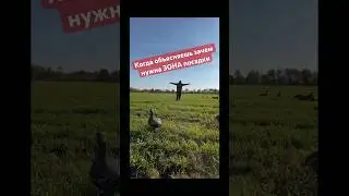 Зона посадки 