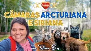 Câmaras Arcturiana e Siriana com Tatiana Dias - 13/01/2025