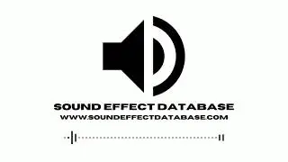 Forest Ambience With Distant Insects Sound Effect