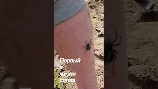 после первой ночи #рыбалка #природа