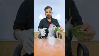 Liquid Nitrogen🥶🥶🥶