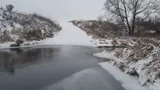 Заросли на речке