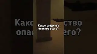💀Какое существо опаснее всего? 💀 #shorts #backrooms #закулисье