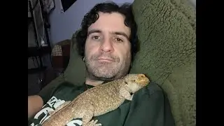 Beardie comes running.