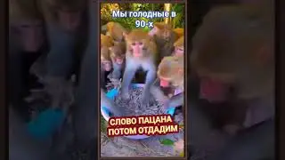 ГОЛОД 