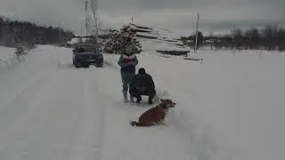 Гуляем на районе. Зима в Подмосковье.