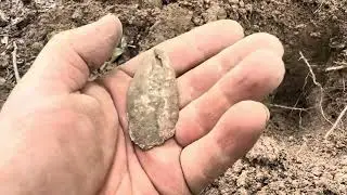 Hitting The Woods For Civil War Relics! (Unexpected Find)