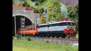 FS anni 80 a Novaluna