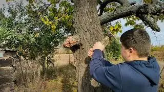 Ko3Lik, epic slow motion , powered by Денис Ка