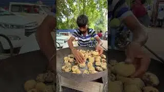 Patna’s Viral Pati-Patni Litti Chokha | 
