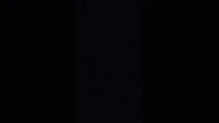 5 ноября 2023 г.
