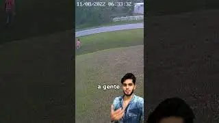Cachorro Já Sabia! #shorts