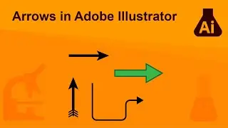 Arrows in Adobe Illustrator