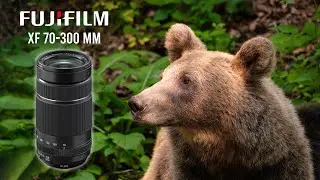 Fujifilm XF 70-300mm F4-5.6 Full Review & Romania's Wildlife