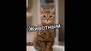 Если бы я была...