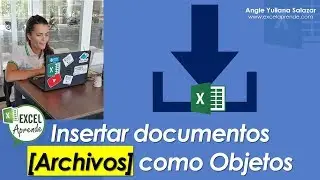 Insert documents [Files] as Objects | Excel Learn