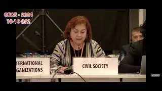 Ущемление и дискриминация прав женщин. Конференция ОБСЕ 2024г