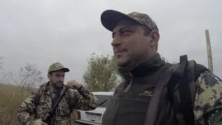 Охота на перепела