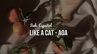 Like A Cat (사뿐사뿐) – AOA // (Sub. Español)