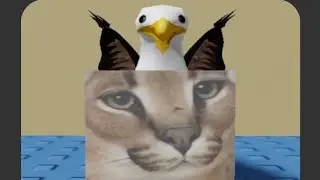 How To Find Seagull Floppa! Find The Floppa Morphs (576) 