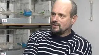 Janko Tomašik ljubitelj i odgajivač kanarinaca