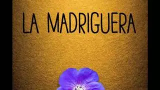 La Madriguera | Un instrumento de paz — Ep. 2