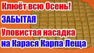 Клюет всю Осень! Насадка на Карася Карпа Леща и другую мирную рыбу. На что ловить карася осенью.