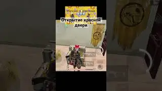 #папгмобайл