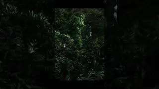 Как голодная женщина съела гопника