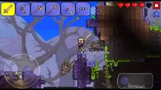 Terraria Warrior LP Part 2  I'm A Rich Magohomy