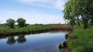 ЛЕТО  исп Евгений Росс