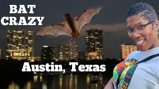 BAT CRAZY|THE BAT BRIDGE OF AUSTIN