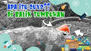Mencari Telur Dinosaurus I Mainan Dinoasaurus I Telur Dinosaurus | Bermain Dengan Dinosaurus |