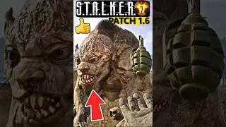 ☢️ Yes! This Actually Works in STALKER 2 😁 Chimera’s Like a Kitten 