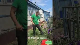 ПРОВЕРЯЮ НА СЕБЕ УДАР ТОКОМ ЭЛЕКТРО ПАСТУХ 
