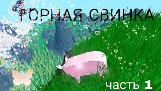 Маленькая горная свинка